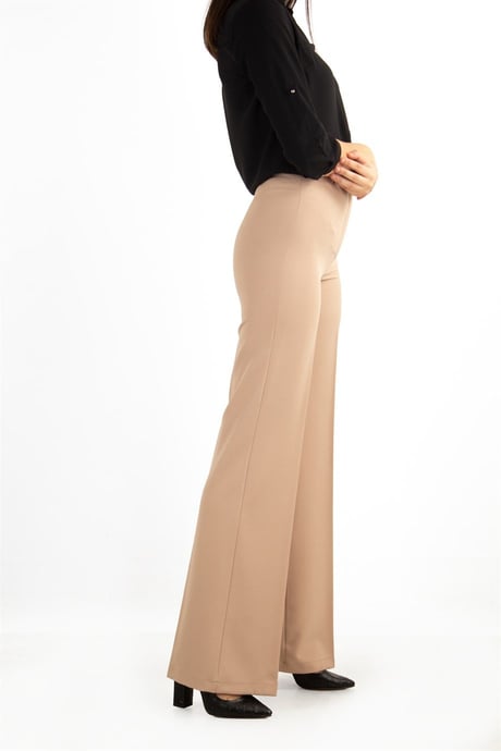 Beige Classic Pants Office Trouser